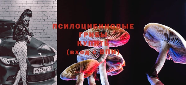 2c-b Горняк