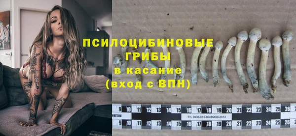 2c-b Горняк