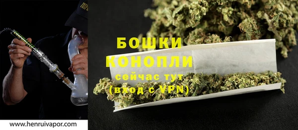 2c-b Горняк